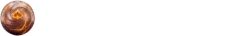 Vegastars Casino Logo